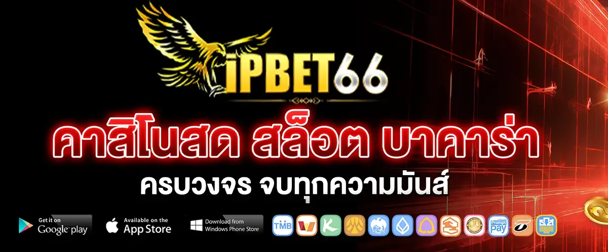 ipbet66